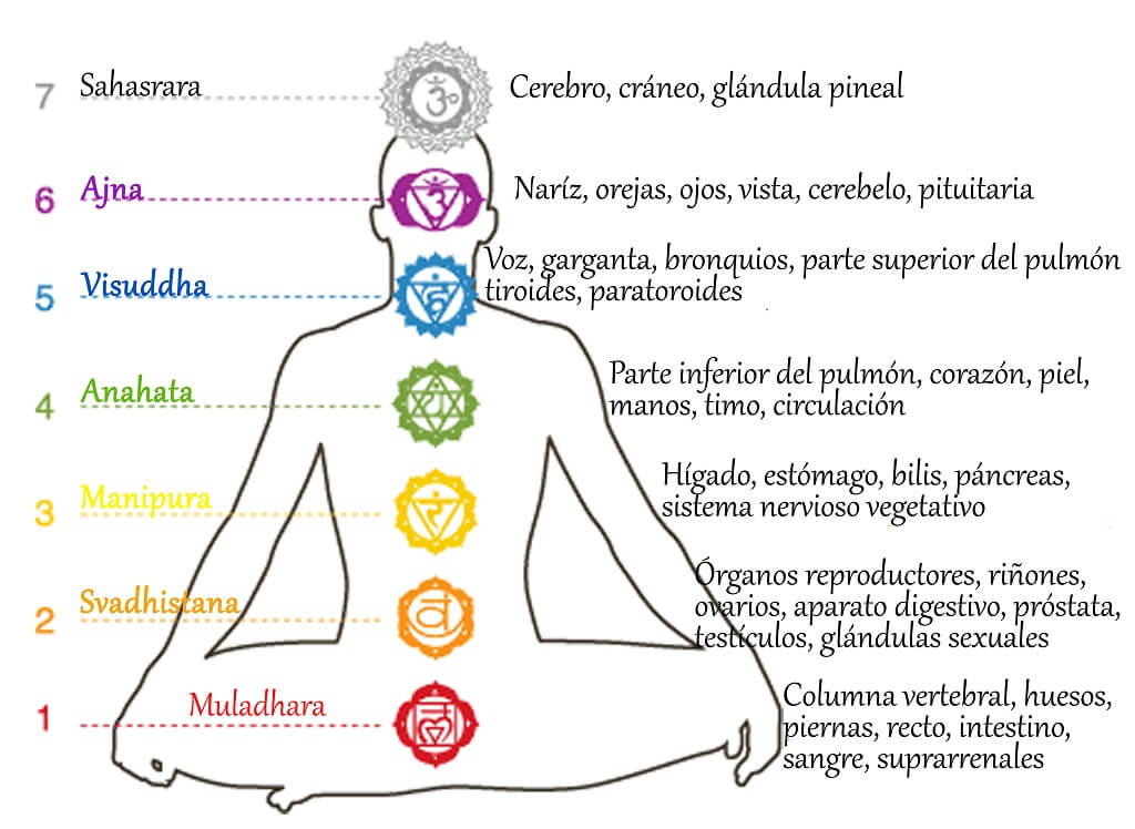 El significado de cada chakra influencia la posición de las menos en Reiki