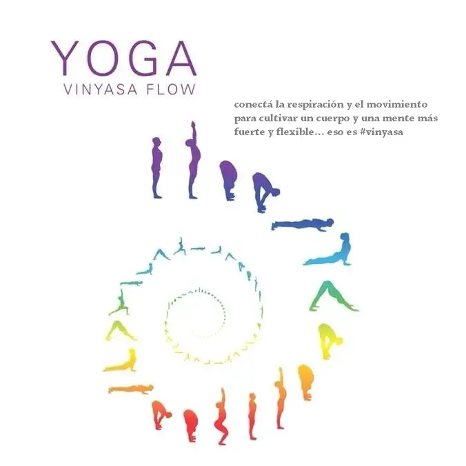 Qué es el Yoga Vinyasa