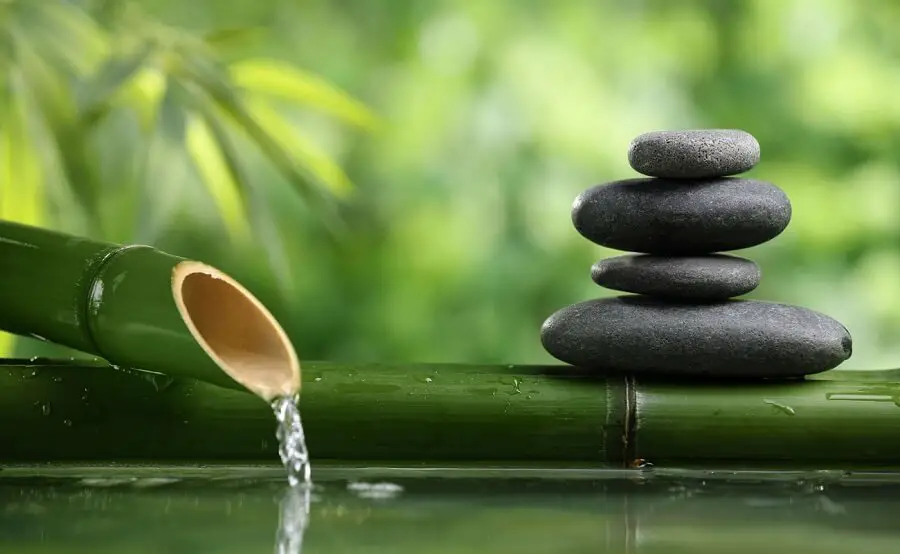 Environments prepared for meditation