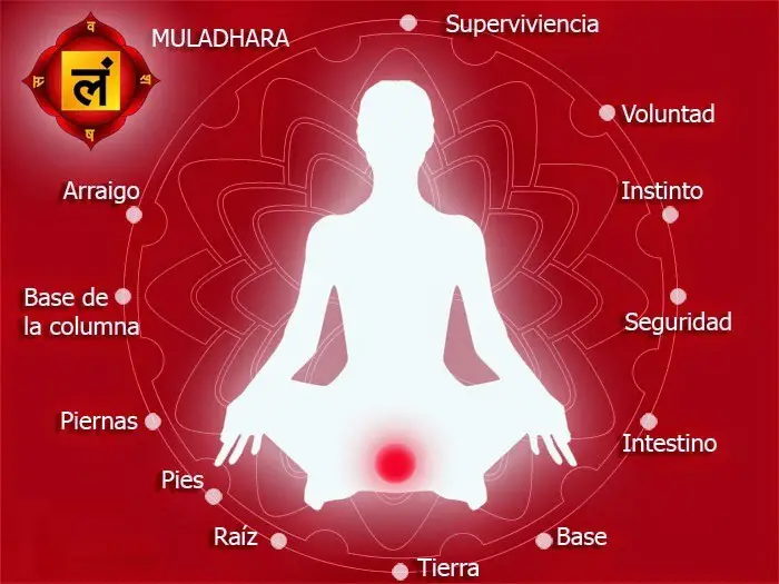 El primer chakra Muladhara