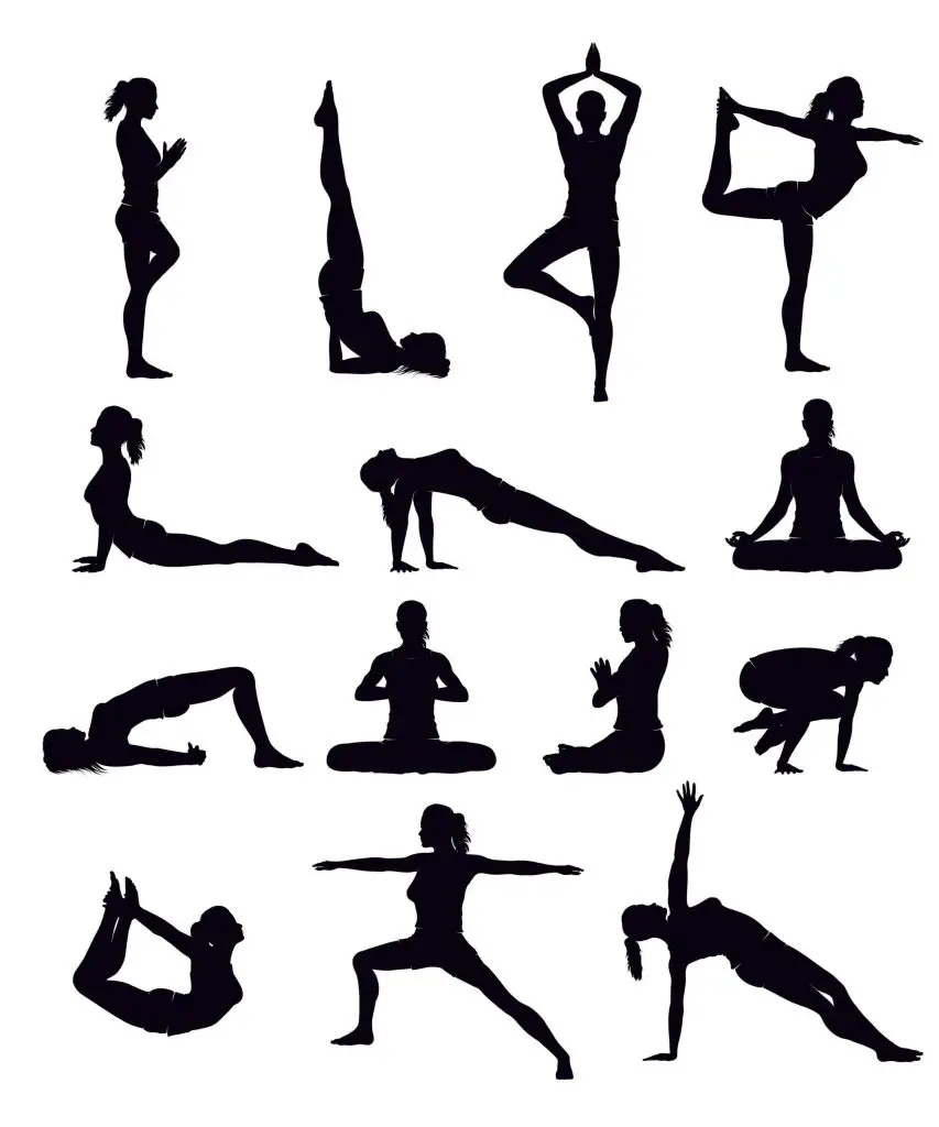 We leave you some asanas to inspire you!