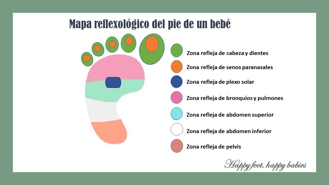 Mapa reflexológico del pie de un bebé