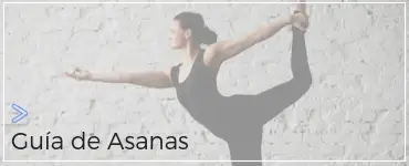 Guía de Asanas de Yoga