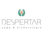 Espacio Despertar Yoga y Kinesiología en Recoleta