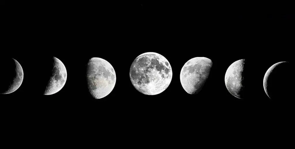Saludo a la luna - Fases Lunares