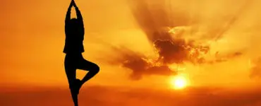 Vulgaridad Útil Perceptible Asanas de Yoga: Guía de todas las Posturas de Yoga Instructivos y Más -  Relajemos.com